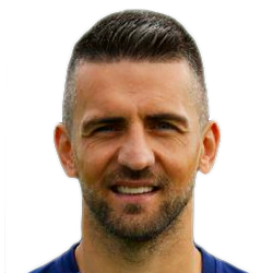 Vedad Ibisevic
