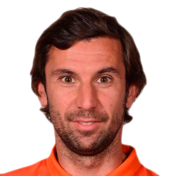 Darijo Srna