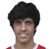 João Novais