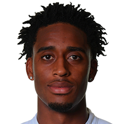Leroy Fer