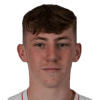 Matty Daly