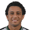 Wellington Nem