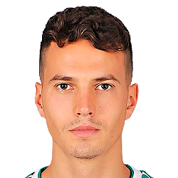 Anton Shvets Anton Shvets