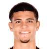 Miles Robinson