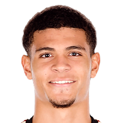 Miles Robinson Miles Robinson