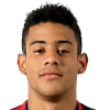 Andrés Tello