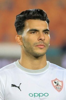 zizo jmg academician from egypt