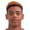 Willem Geubbels