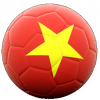 vietnam soccer ball flag logo white